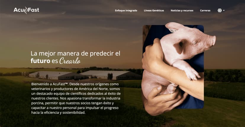Image of the project